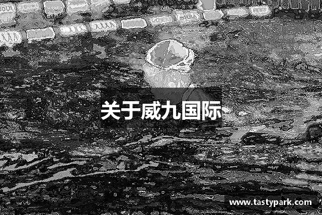 威九国际·(china)有限公司官网